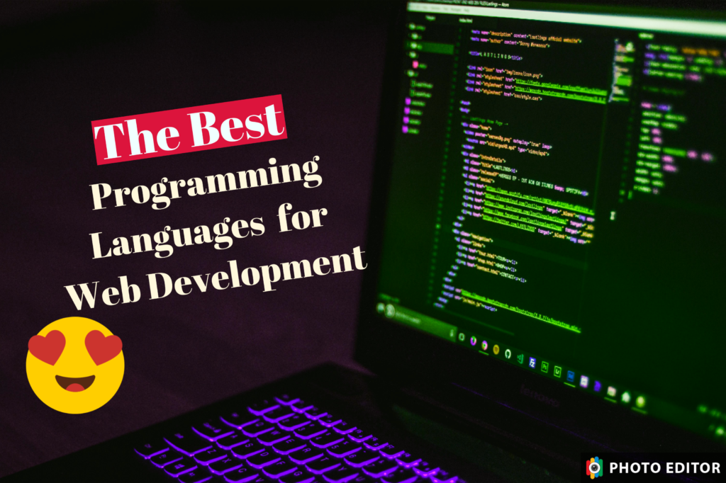 Programming Languages for Web Development