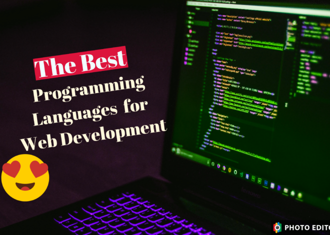 The Best Programming Languages for Web Developmentin 2024-25