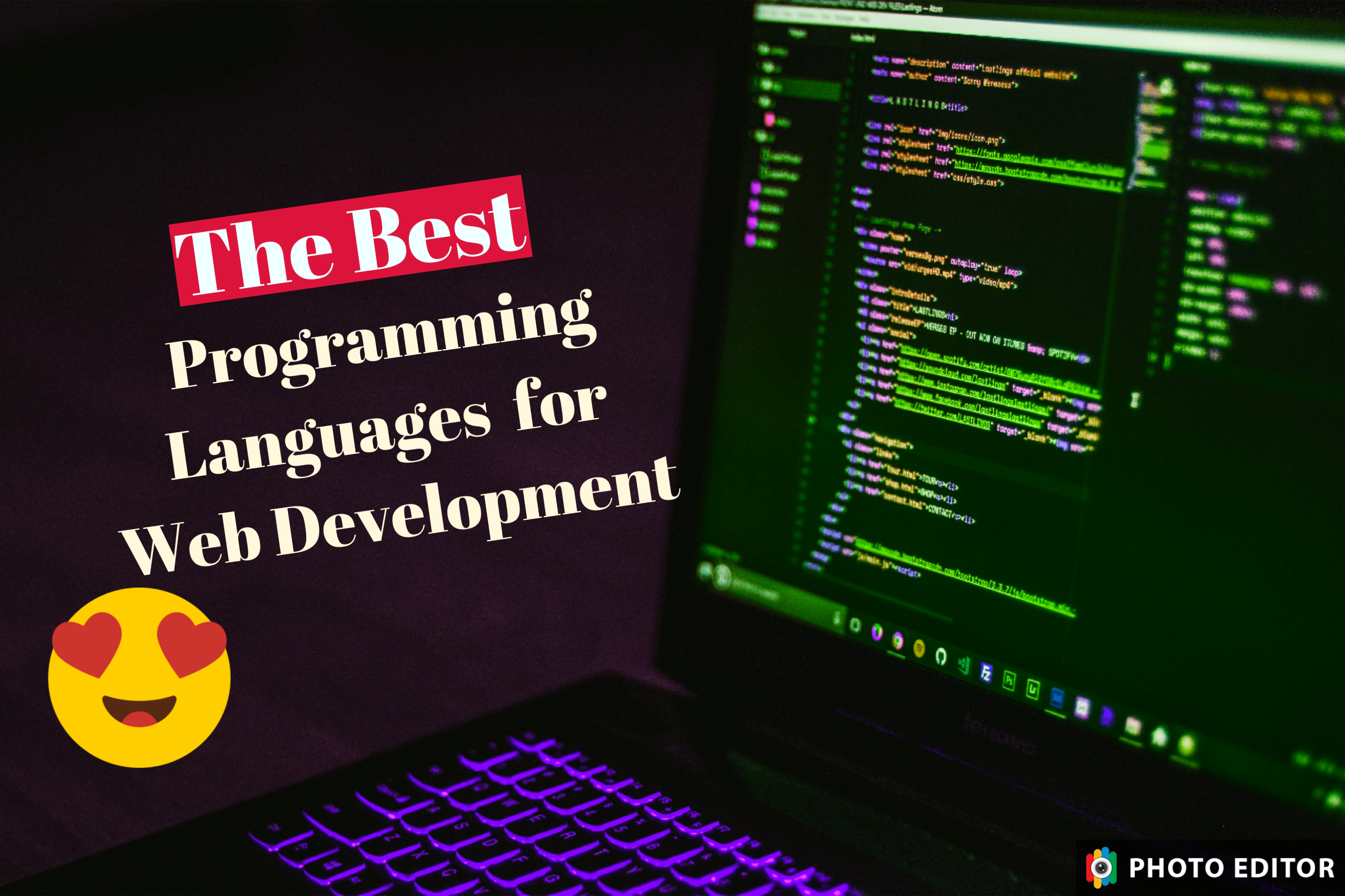 The Best Programming Languages for Web Developmentin 2024-25