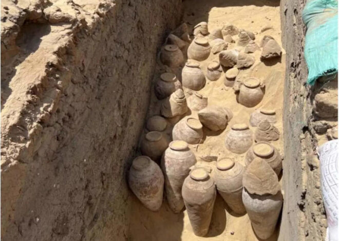 5000 Year Old Wine Jars Found in Egypt