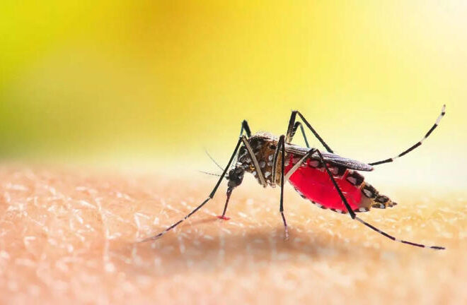 West Nile Virus Outbreak in Israel