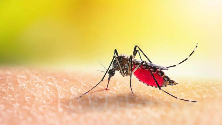 West Nile Virus Outbreak in Israel