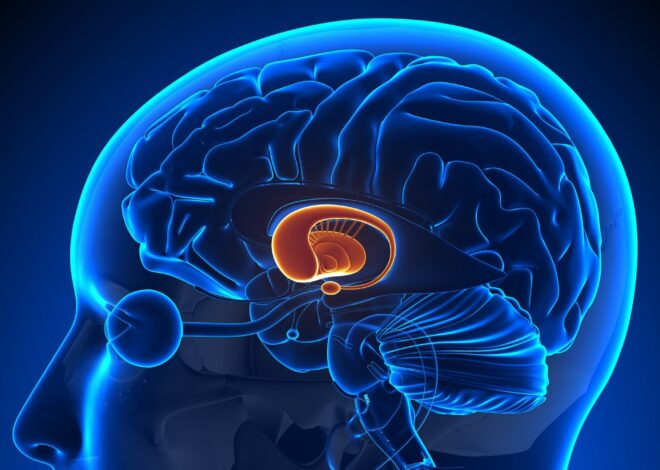 AI-Driven Blood Test Detects Parkinson’s Disease Up to Seven Years Before Symptoms Emerge