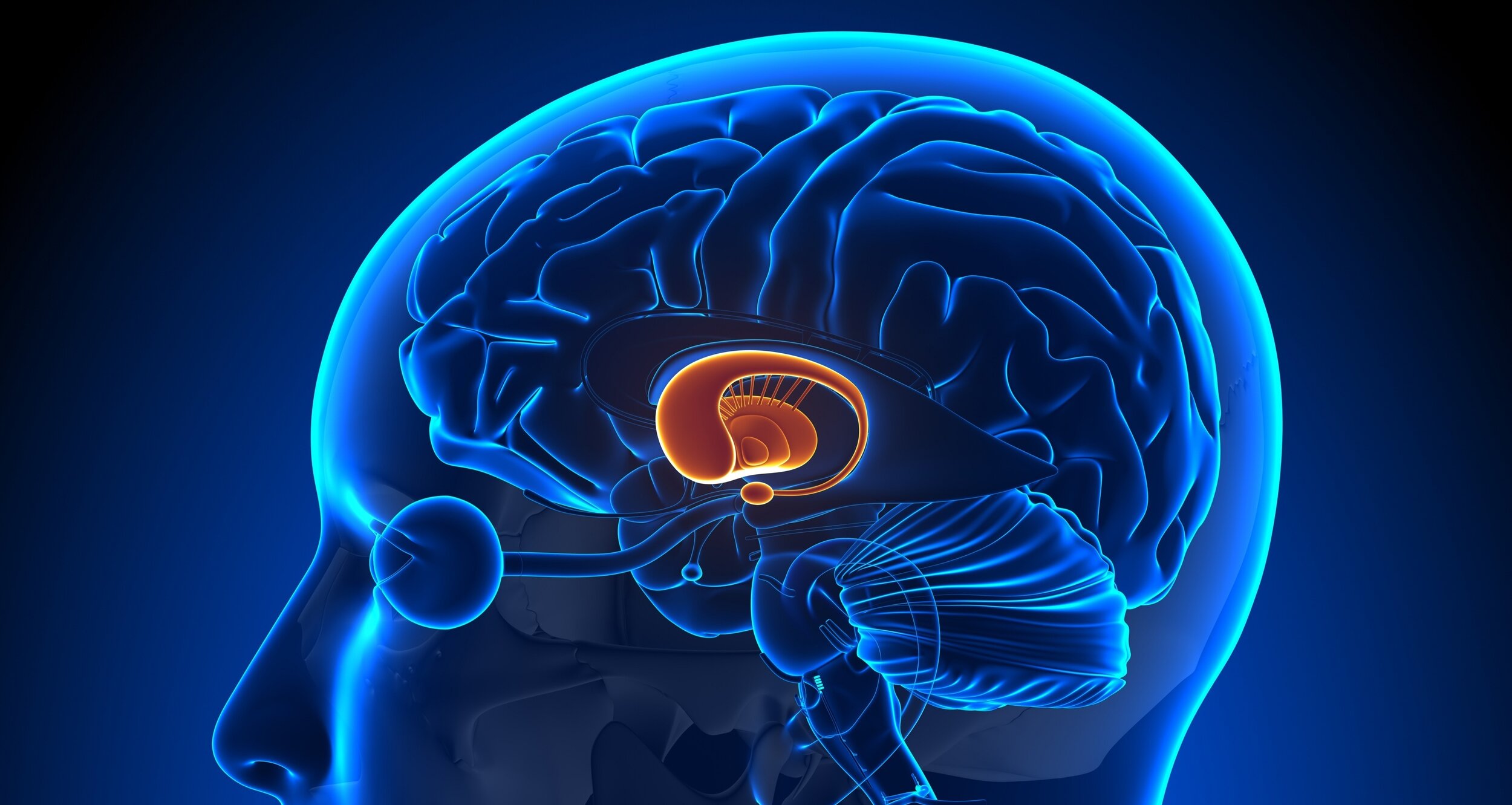 AI-Driven Blood Test Detects Parkinson’s Disease Up to Seven Years Before Symptoms Emerge