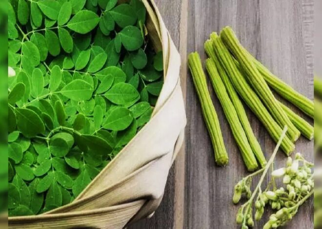 Is Moringa the Miracle Tree for Your Health?