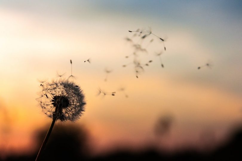 Embracing Non-Attachment: Enjoying Life’s Journey
